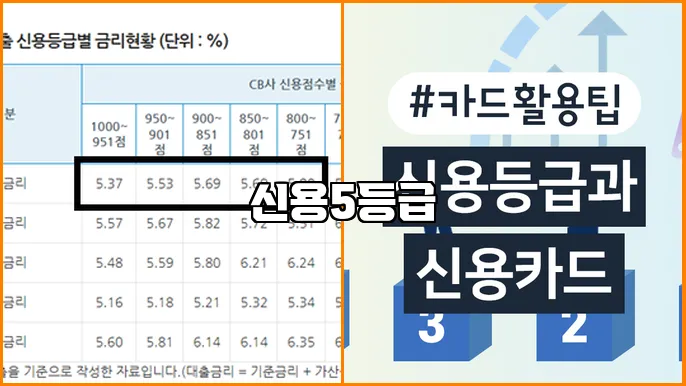 신용5등급