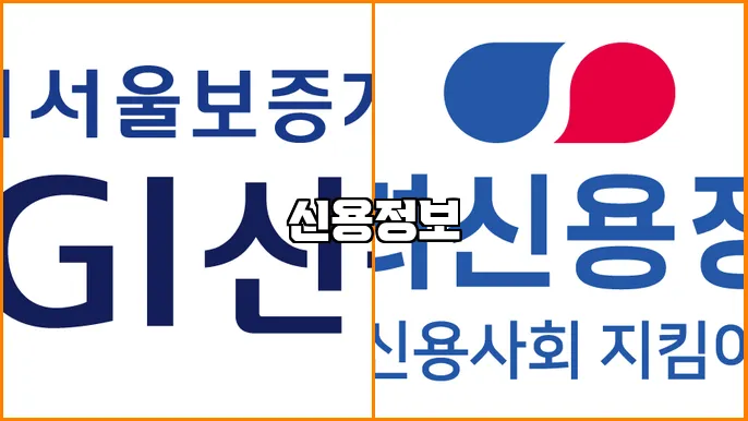 신용정보