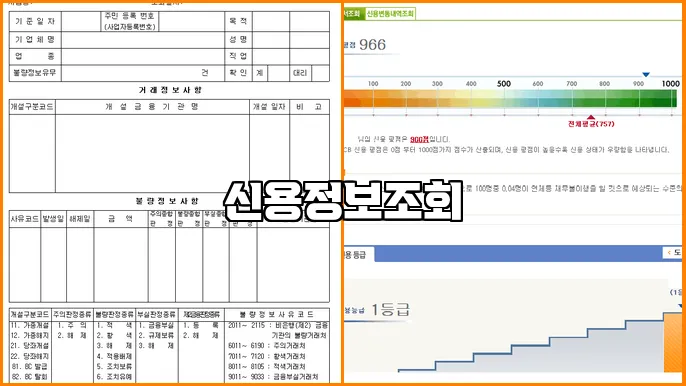 신용정보조회