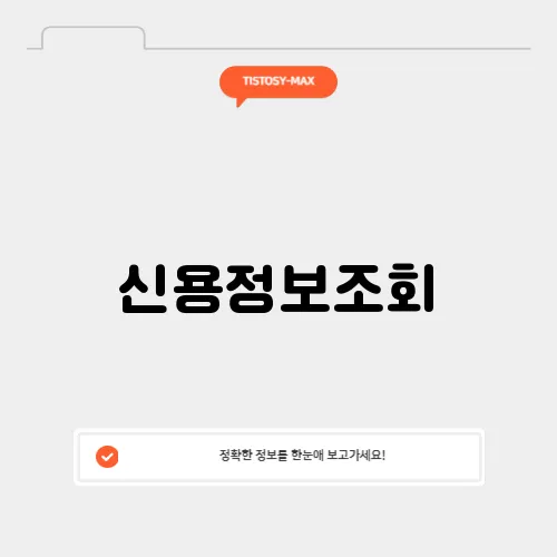 신용정보조회