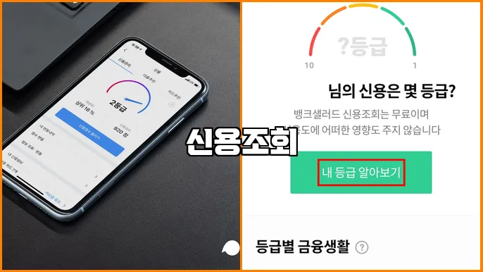 신용조회