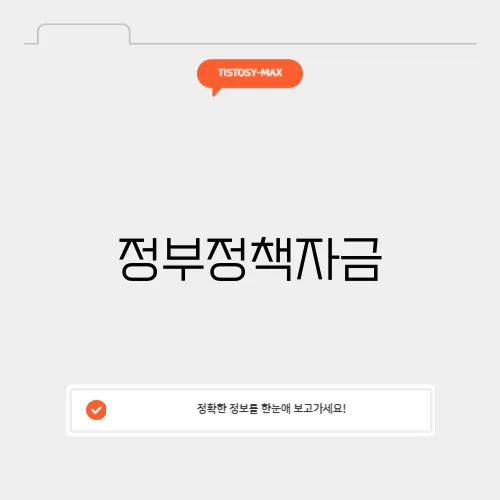 정부정책자금