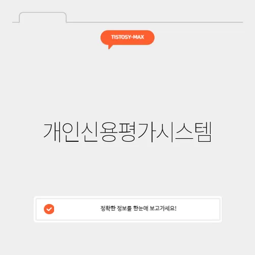 개인신용평가시스템