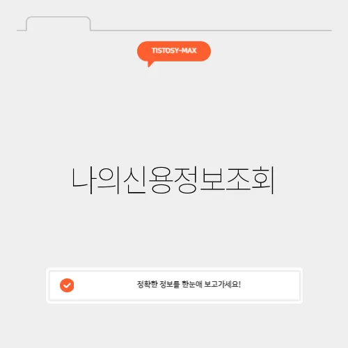 나의신용정보조회