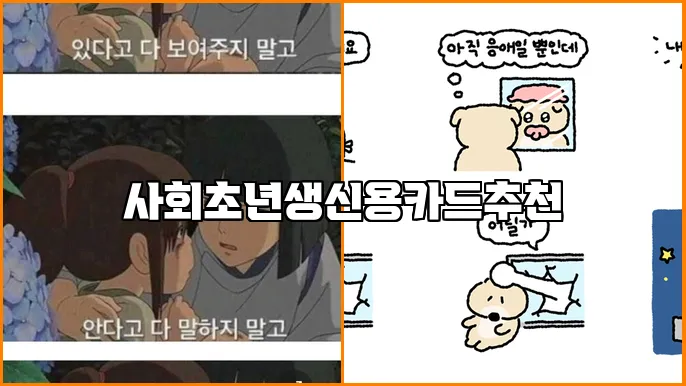 사회초년생신용카드추천