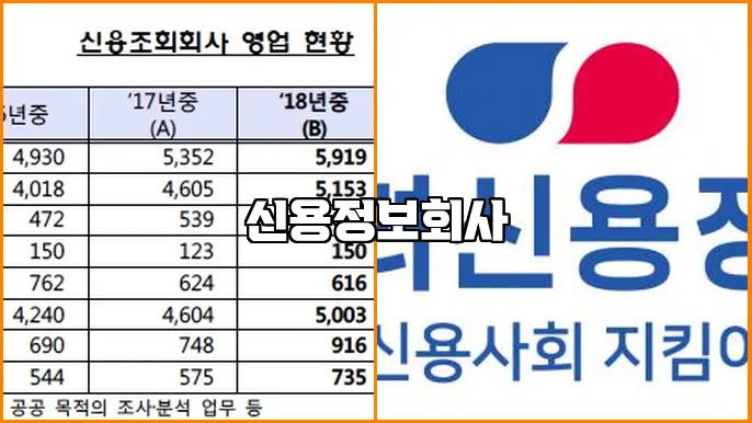 신용정보회사