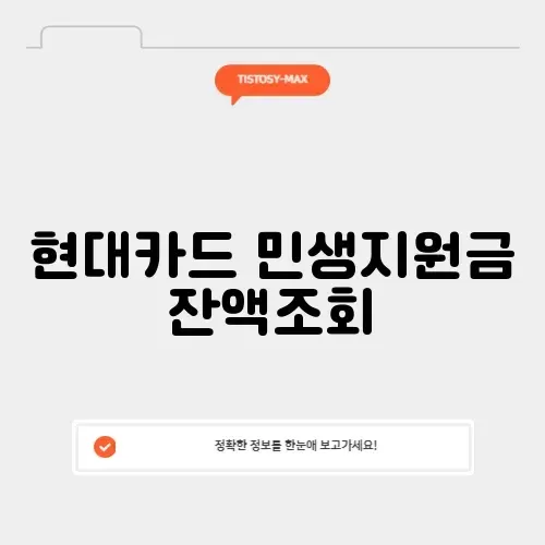 현대카드 민생지원금 잔액조회 썸네일