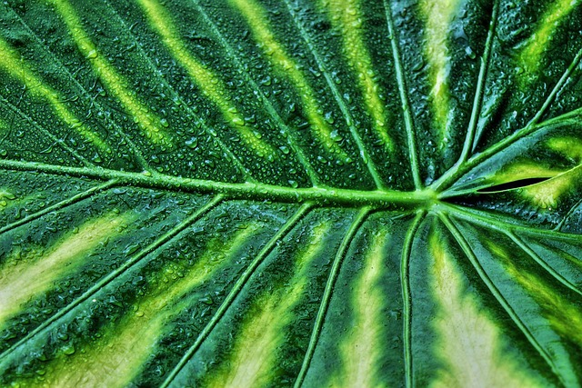 영화 속 타로 해석 완벽 가이드 관련 이미지 2