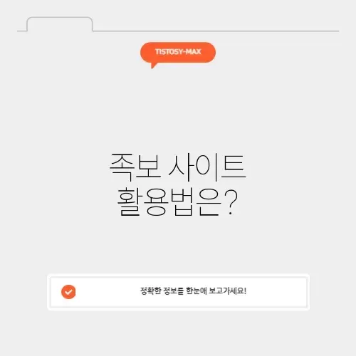 메이플 초성퀴즈 족보 사이트 완벽 가이드